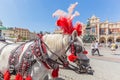 Cracow, Poland. Traditional horse carriage on the main old town market square.