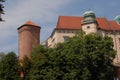 Cracow, Wawel, castl Royalty Free Stock Photo