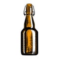 Craft beer bottle. Engraving style. Hand drawn illustration isolated Royalty Free Stock Photo