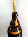 Craft beer brewery. Filling brown glass beer bottle at home. Self made beer. Vertical image on a white background Royalty Free Stock Photo