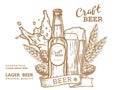 Craft beer comp2