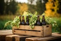 Craft beer glass bottles in wooden box. Generative AI Royalty Free Stock Photo