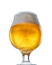 Craft Beer Goblet on White