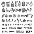 Craft beer hand drawn elements set Royalty Free Stock Photo