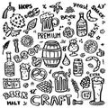 Craft beer hand drawn elements set. Royalty Free Stock Photo