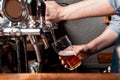 Craft beer from keg. Bartender pours beer in glass from tap