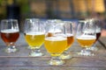 Craft Beer Samples in Glasses Outdoors Royalty Free Stock Photo
