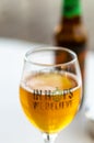 craft beer in selective focus with In Hops We Believe text