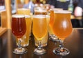 Craft Beer Tasting Flight Royalty Free Stock Photo