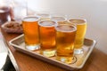 Craft Beer Tasting Flight Royalty Free Stock Photo