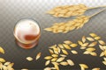 Whiskey in glass and cereals grains vector Royalty Free Stock Photo