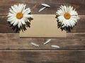 craft brown envelope and two white daisies on old wooden background with petals Royalty Free Stock Photo