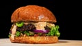 Craft burger is cooking on black background. Consist: sauce salsa, lettuce, red onion, pickle, cheese, chilli green