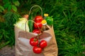 Brown paper bag with vegetables, standing on the green grass