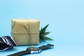 Craft gift tied with jute on a blue background. Nearby lies a blue striped tie, a men`s watch and a green succulent flower. Copy Royalty Free Stock Photo