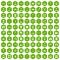 100 craft icons hexagon green