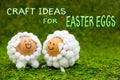 Craft ideas for easter eggs, two funny lambs or sheep shaped egg
