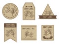 Craft labels vintage design with illustration of cinchona