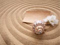 Craft paper letter with a white flower and a shell on the sand in the form of a spiral. The concept of a beach holiday