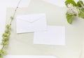 Craft paper sheets and white envelope. Blank card with spring green leaves and white flowers. Mockup design. Top view