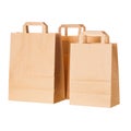 Craft paper shopping bags