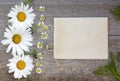 Craft paper on a wooden background with large and small daisies Royalty Free Stock Photo