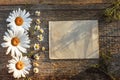 Craft paper on a wooden background with large and small daisies Royalty Free Stock Photo