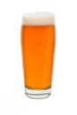 Craft Pub Glass with Beer 5