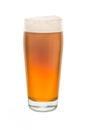 Craft Pub Glass with Beer 6