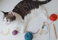 Craft table with cat Royalty Free Stock Photo