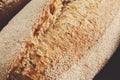 Artisan Bread Loaf With Rustic Texture and Flour Dusting From Local Bakery Royalty Free Stock Photo