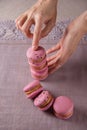 crafted pink Macaroons in set in woman confectioner hands. Sweet mastery in kitchen