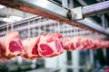 Crafting quality: meat production at the factory