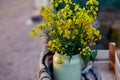 Crafting vintage handmade rug and spring flowers in watering can at sunset. Country life,cottage core, creative rustic Royalty Free Stock Photo