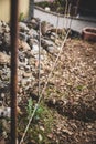 Craftman making a guideline and yardstick in the garden