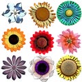 Craftmans Flower Collection 1