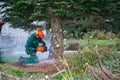 craftsman saws off a fir tree with a chainsaw