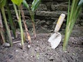 Craftsman tools on plant soil Royalty Free Stock Photo