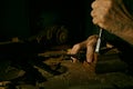 Craftsman& x27;s hands working on wood carving, with gouge and chisel Cabinetmaker, carpentry Royalty Free Stock Photo