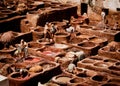 Craftsmen dye leather in Fez, Morrocco