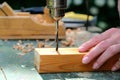 Craftswoman carpenter drilling a wooden plank with drill machine, closeup view. Woodworking, DIY concept Royalty Free Stock Photo