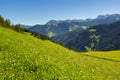 Craggy peaks of Italian Dolomites framed by greenery of meadows and forests Royalty Free Stock Photo