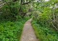 Craggy Pinnacle Trail North Carolina