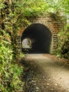 Craigellachie Railway Tunnel on Strathspey Way, Scotland