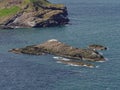 The Craiglethy Rock Outcrop in Trelung Bay covered with Nesting and Flying Seabirds Royalty Free Stock Photo