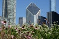 Crain Communication building, Chicago Royalty Free Stock Photo