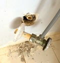 Craked and broken toilet valve pipe broken in the wall