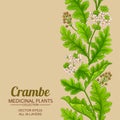 crambe pattern on color background