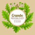 crambe plant vector frame