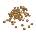 Crambe Seeds Colored Detailed Illustration Royalty Free Stock Photo